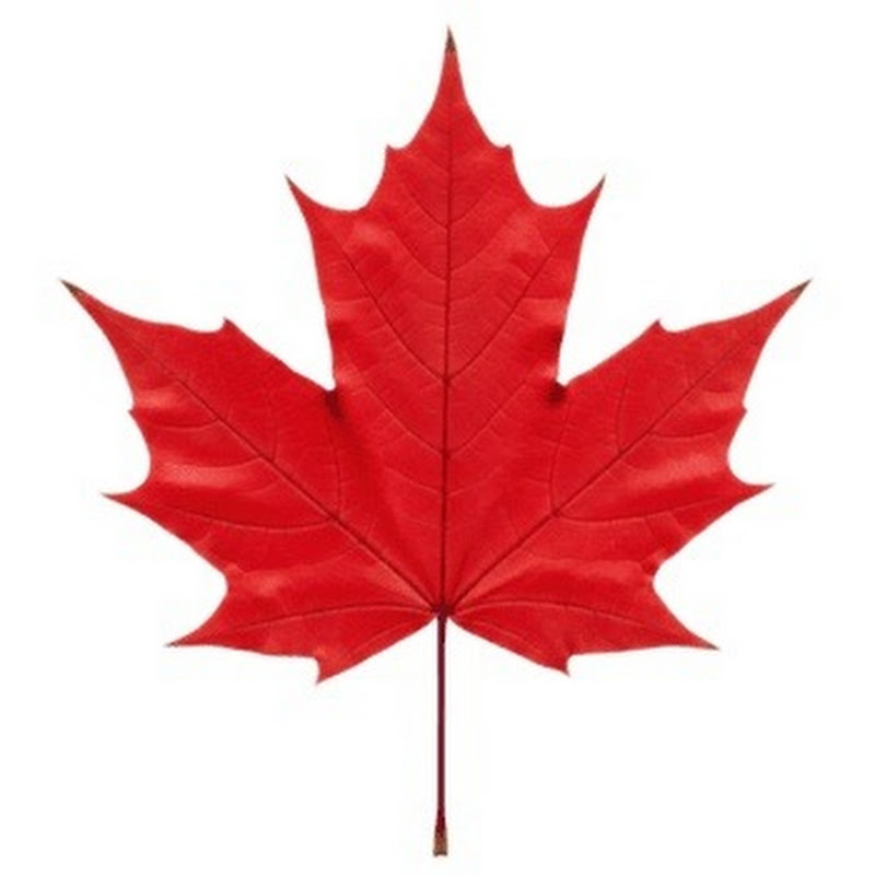 James from Canada