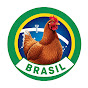 Investindo no Galinheiro Brasil logo