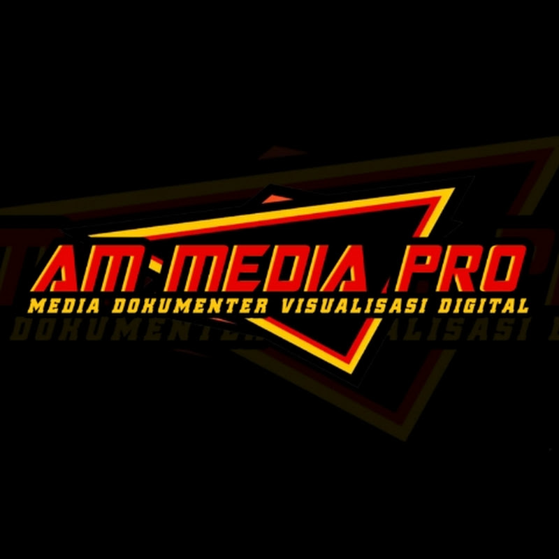 AM MEDIA PROFESIONAL