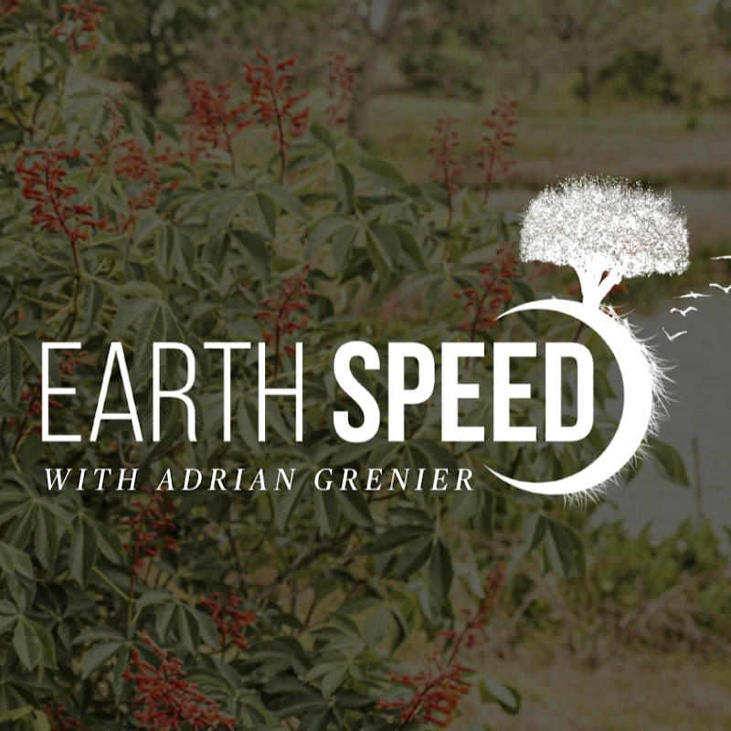 Earth Speed By Adrian Grenier