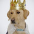 QwlIibPOhJA-channel-avatar-Jarl SwagDog