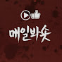 매일봐숏