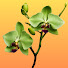 OeDEI6SYSV8-channel-avatar-Naturevitalife