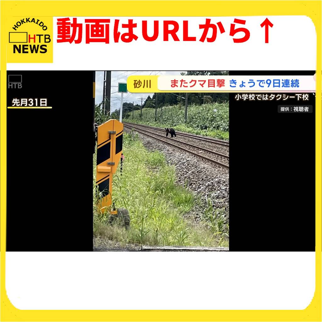 【クマシー@断捨離中 値下げ交渉歓迎】 クマシー@断捨離中 値下げ交渉歓迎】 61R3JlbfjFS._UF350