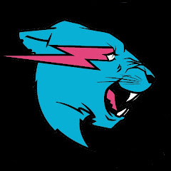 Mr.Beast fan