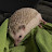 Avatar photo