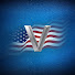 pJeDoWfDZiI-channel-avatar-Valorous TV