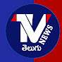 TV NEWS TELUGU  logo