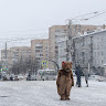 Автор