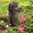 nH5xn80lZIM-channel-avatar-LivingZen