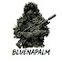 Z_54HSOjaLo-channel-avatar-bluenapalm