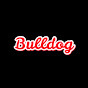 Bulldog Lyrics UK