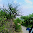 Uldl3pgIUEY-channel-avatar-All In O9E