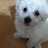 @TV-dy8mr