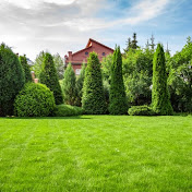 Cozy Backyard