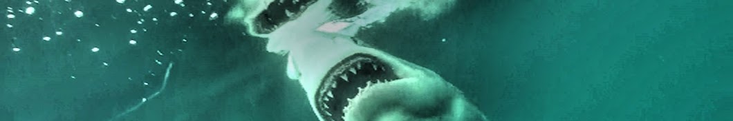 Great White Shark YouTube channel avatar