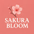 sAziulU4lBI-channel-avatar-SAKURA BLOOM