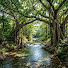 URKYzumupfg-channel-avatar-Ciporang River Sounds