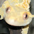 @kenjiro2676 Avatar