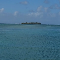  Mirai Hikari in Saipan 島のリアルとねこと一緒