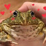 xOZzlqvN-L0-channel-avatar-Jaba from Bolotse