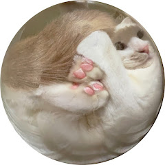 めんま