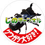 クワガタ大好き!しのチャンネル logo