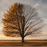 gJ8m2yewHFk-channel-avatar-山脊的背面