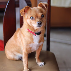 HIRA