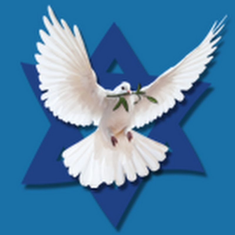 Jan Markell icon