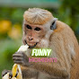 Funny Moments logo