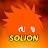 Solion