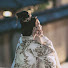 aocTRgLw8vg-channel-avatar-샤오리 Xiao Li