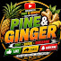 ZqtL0rEhLu0-channel-avatar-Pine and Ginger review tv