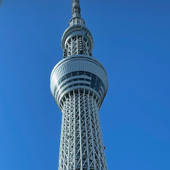 コアラ
