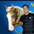 RH83MviY7-8-channel-avatar-INDIAN HORSES