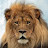 @yahudahbenisrael3774's avatar