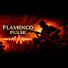 t9JyBguA0CA-channel-avatar-FLAMENCO PULSE