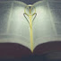 F9OAJ8Co9ec-channel-avatar-Amar a Deus 