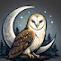 sLtMm0RFdnI-channel-avatar-Artemis 🌙🦉