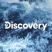 Discovery