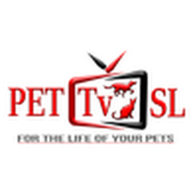 Pet Tv SL icon