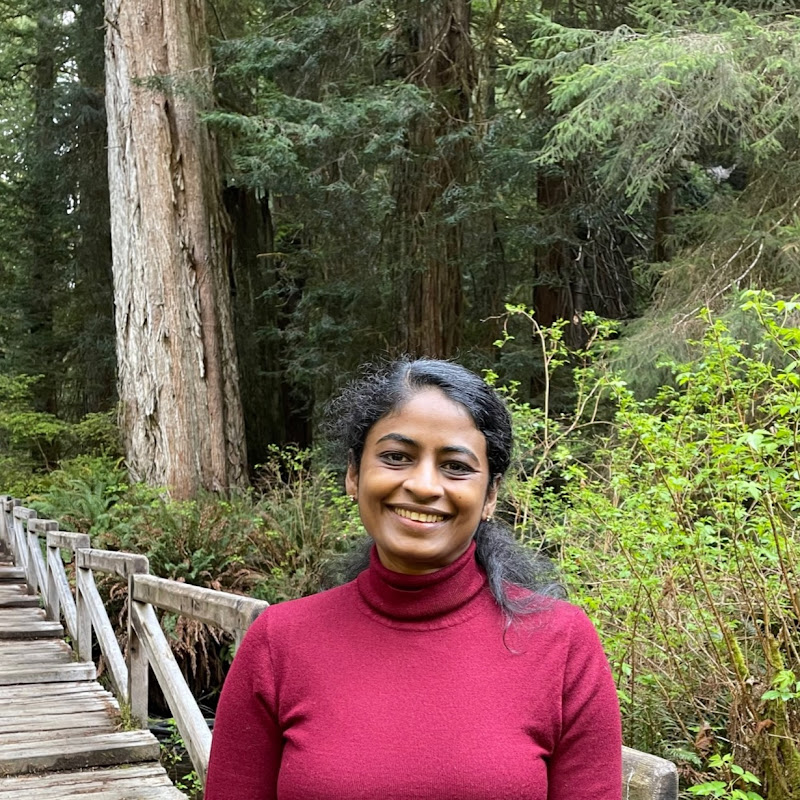 Travel & Cooking by Rekha George