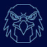 eDRcUwn0WRE-channel-avatar-TheEagleHead