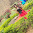 @rinkirout4804