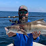 niuvREiLekU-channel-avatar-Fishing4dinner