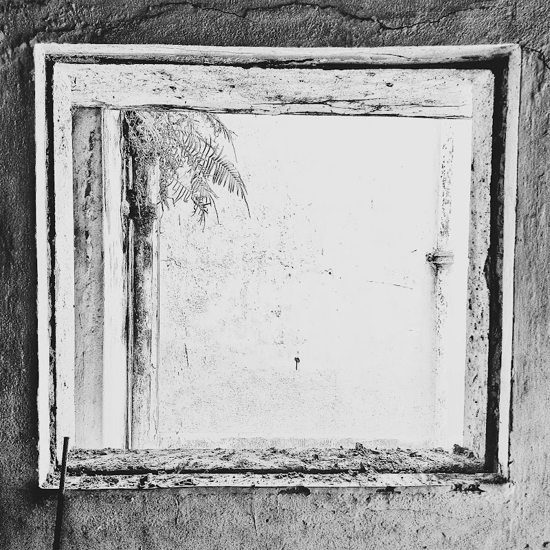 A Cell