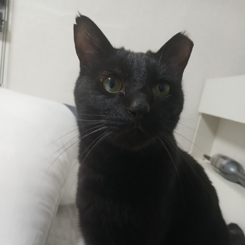 김모지 avatar