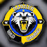 KcLCaMJQFhc-channel-avatar-Badger Wild Gaming