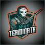 Mr.Teammate logo